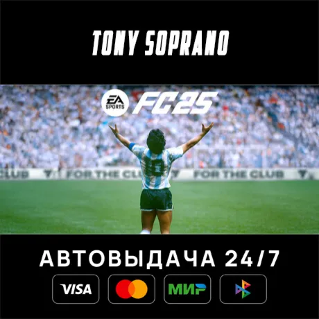 EA SPORTS FC™ 25 STEAM GIFT