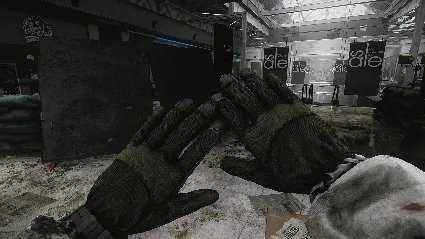 Escape from Tarkov: BEAR - Arktika DLC RU*KZ*UA*CIS