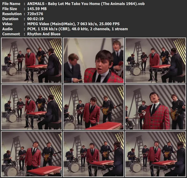 ANIMALS - Baby Let Me Take You Home