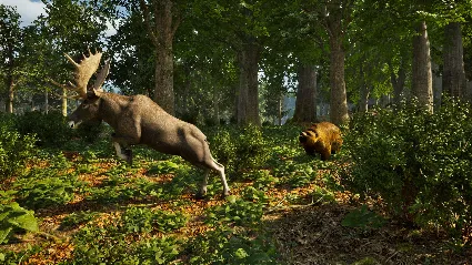 ️ВСЕ СТРАНЫ+РОССИЯ Park Ranger Simulator STEAM GIFT