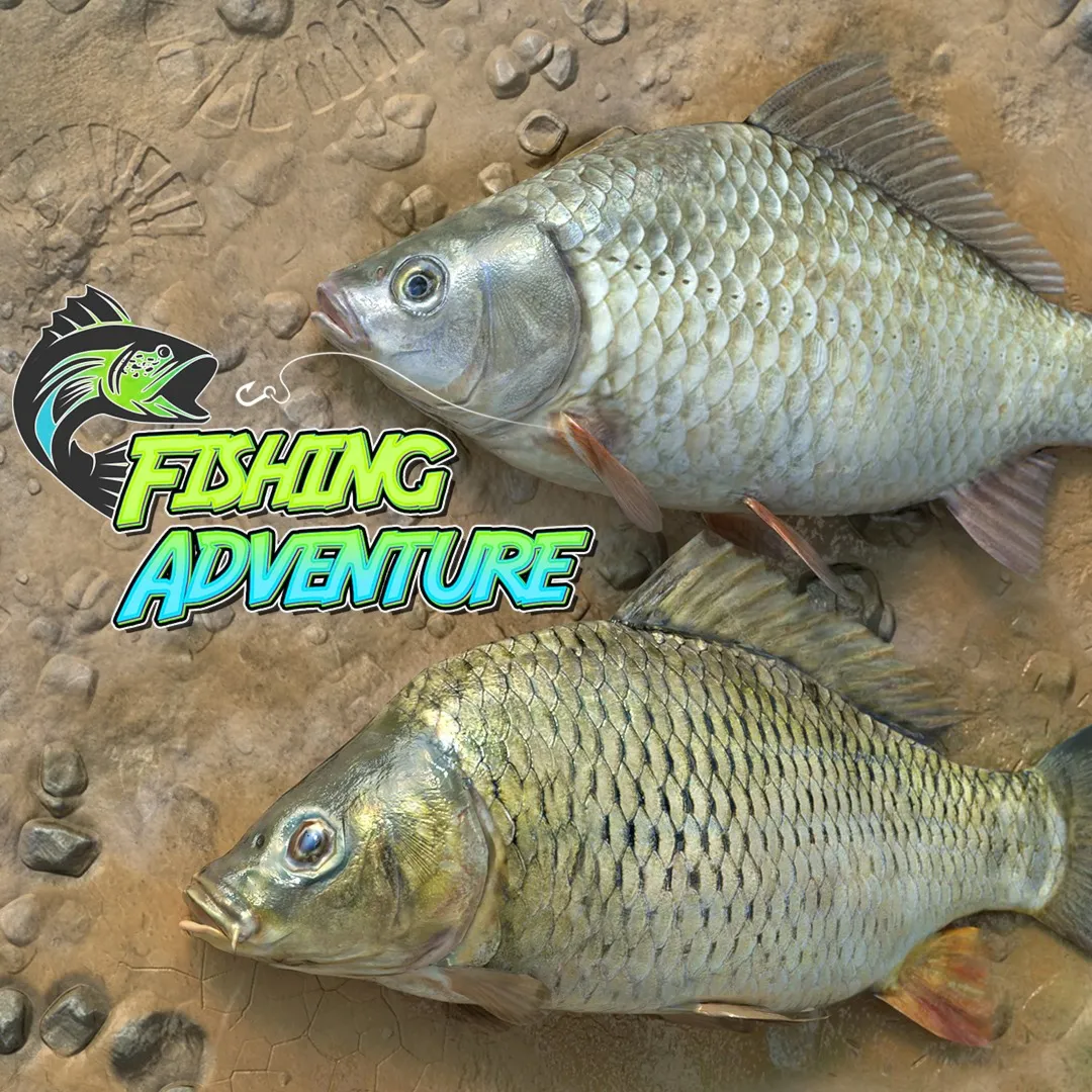 Fishing Adventure | XBOX | На любой аккаунт