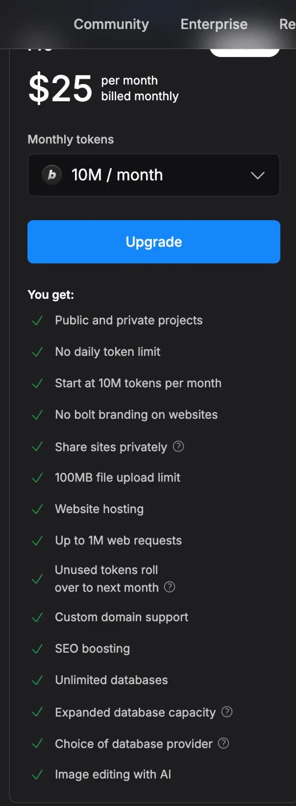 Bolt.new Pro Private Account 1 Month