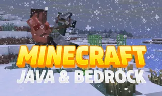 MINECRAFT JAVA & BEDROCK (ПРИВАТНЫЙ ДОСТУП НА 30 ДНЕЙ)