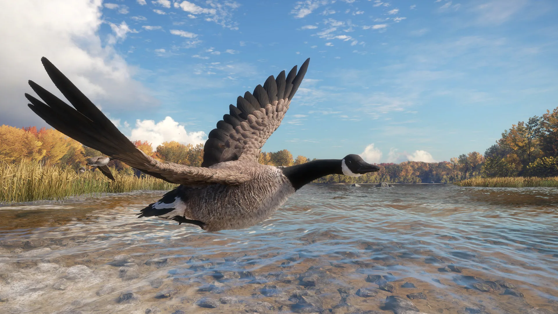 theHunter: Call of the Wild™ - Wild Goose Chase Gear DLC Steam ключ