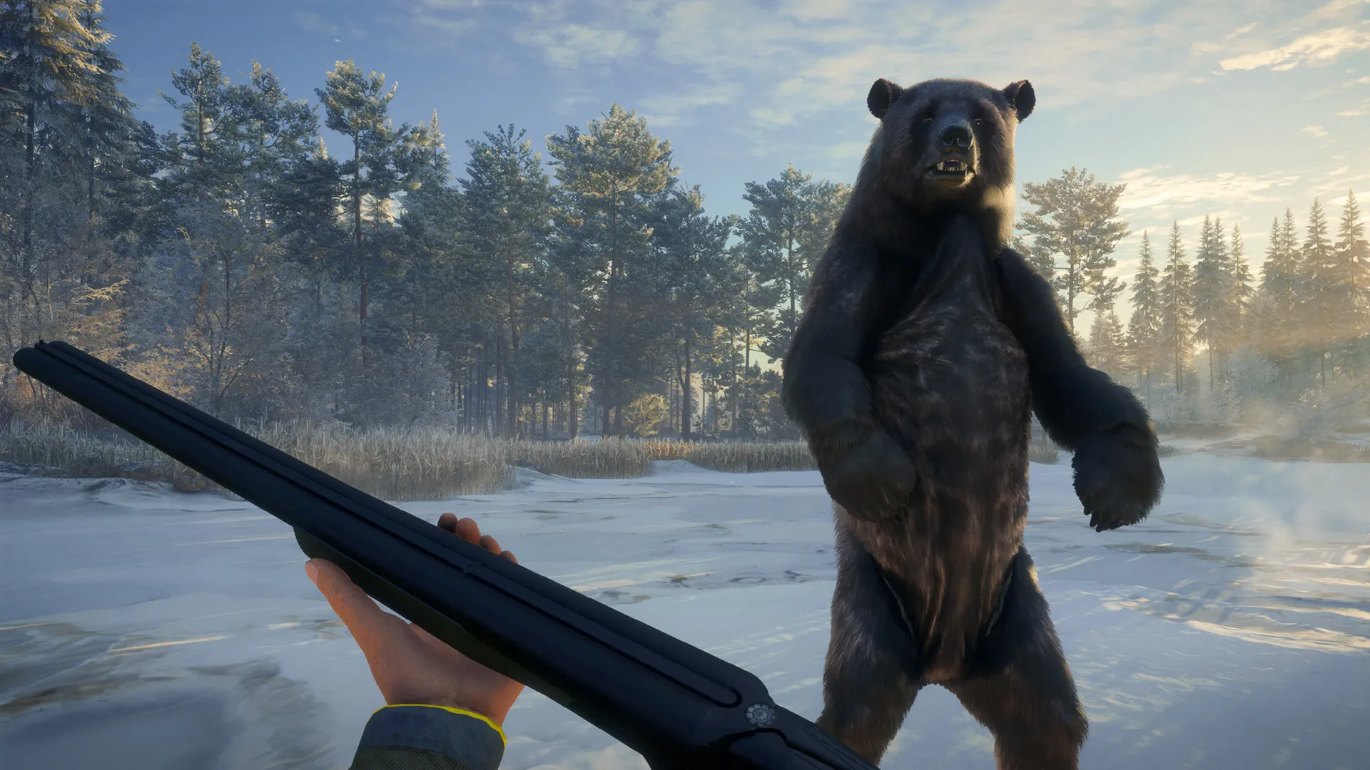 theHunter: Call of the Wild - Weapon Pack 2 DLC Steam ключ