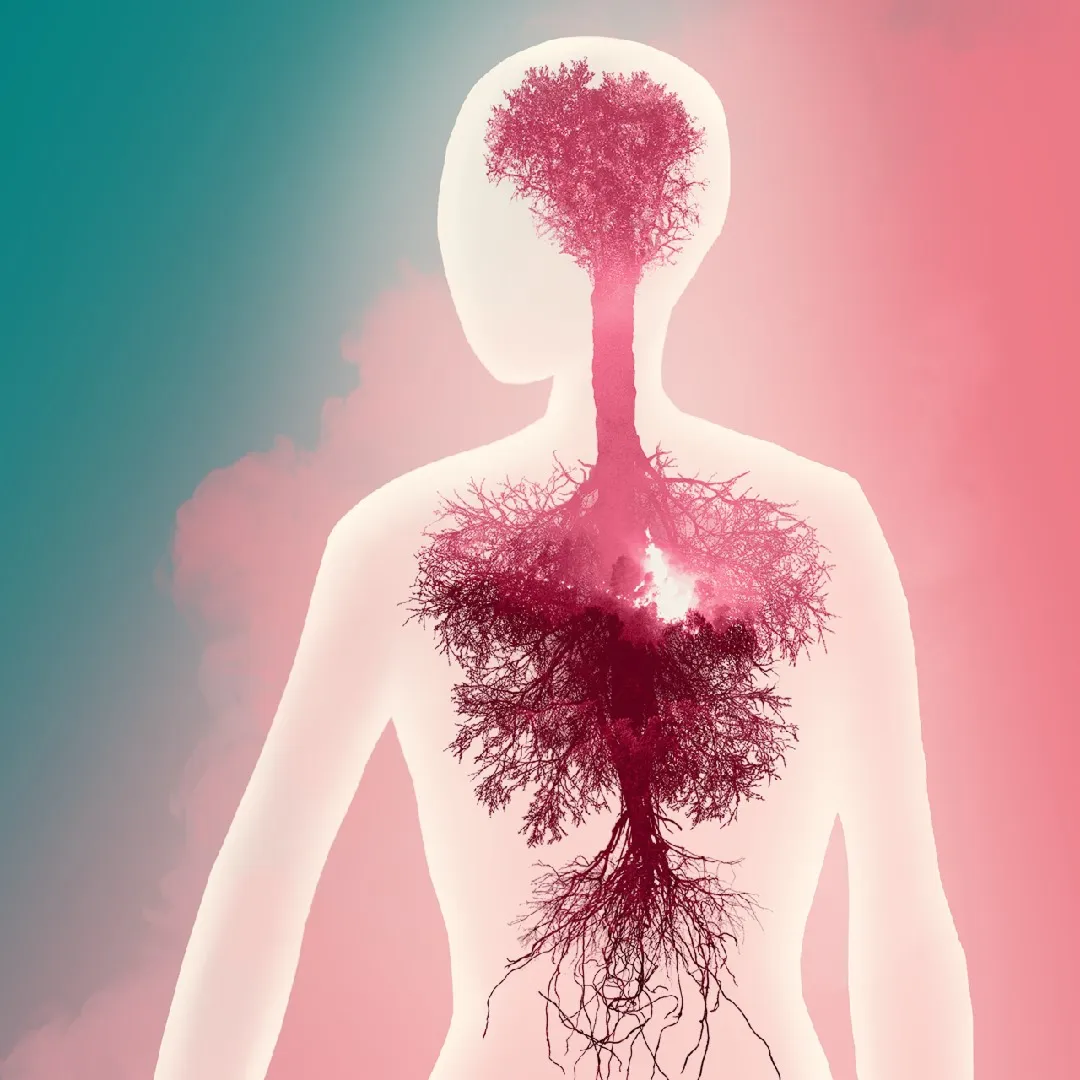 Etherborn | XBOX | На любой аккаунт