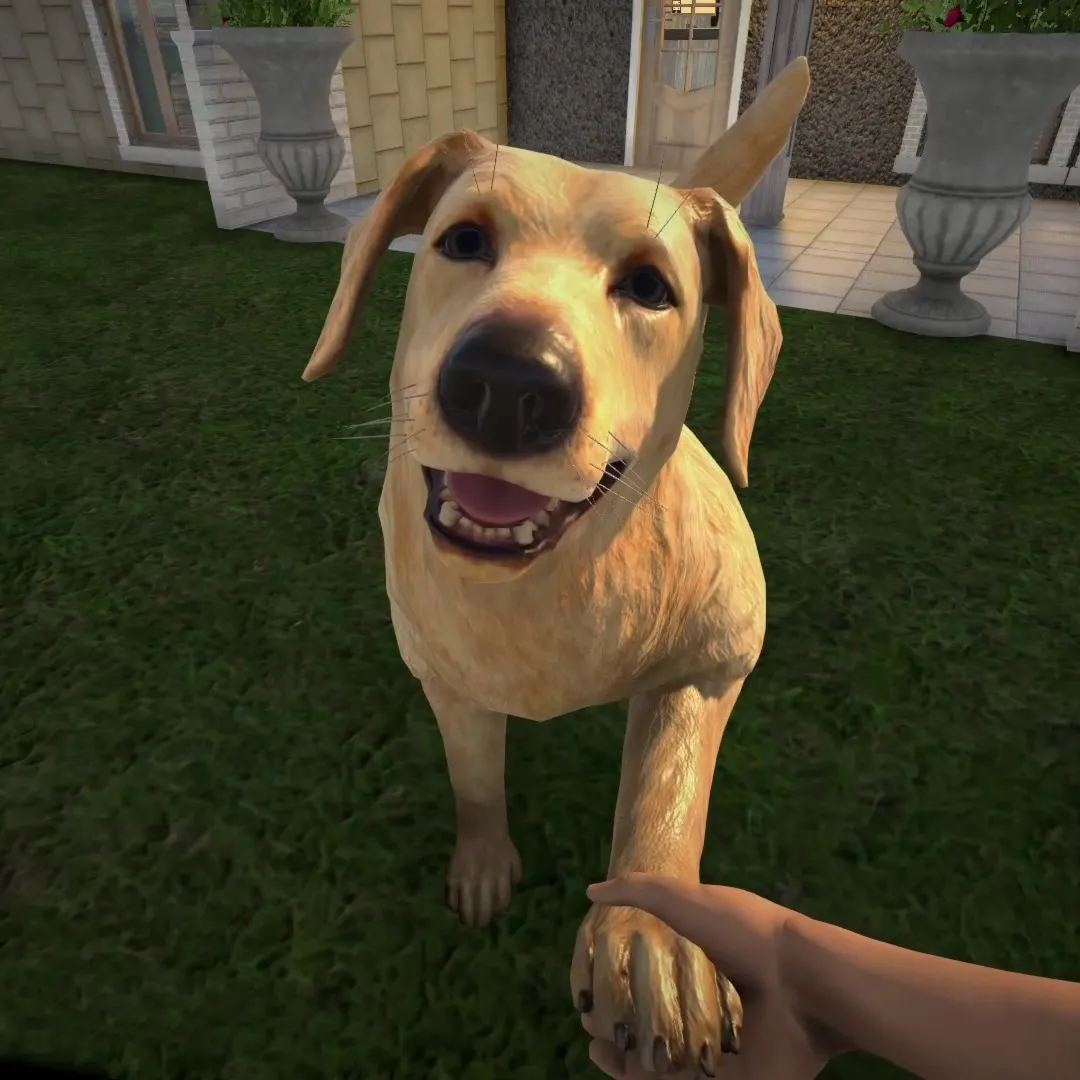 Pets Hotel | XBOX | На любой аккаунт