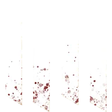 Animus: Revenant | XBOX | На любой аккаунт