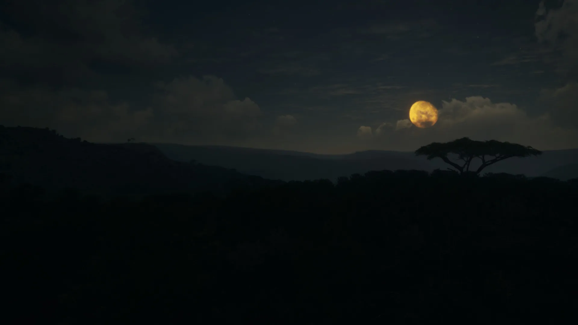 theHunter: Call of the Wild™ - Vurhonga Savanna DLC Steam key