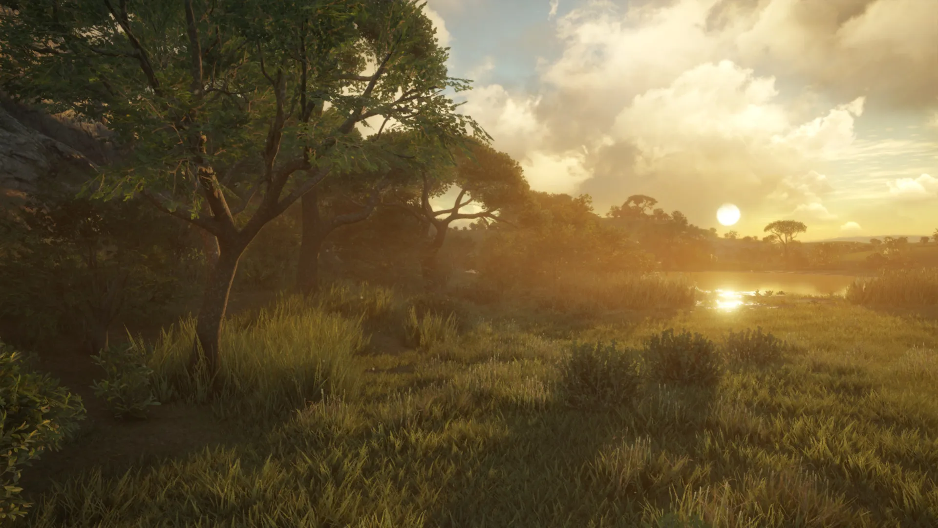 theHunter: Call of the Wild™ - Vurhonga Savanna DLC Steam key