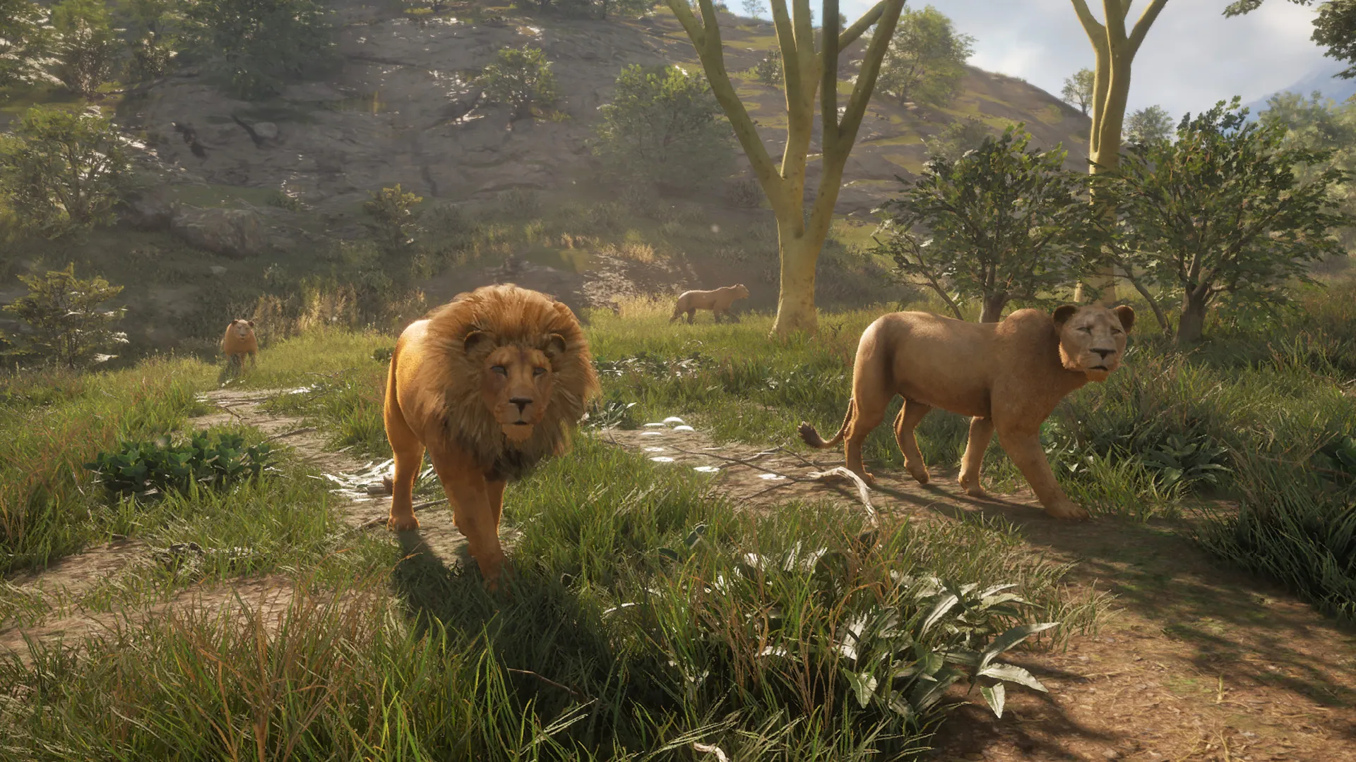 theHunter: Call of the Wild™ - Vurhonga Savanna DLC Steam key