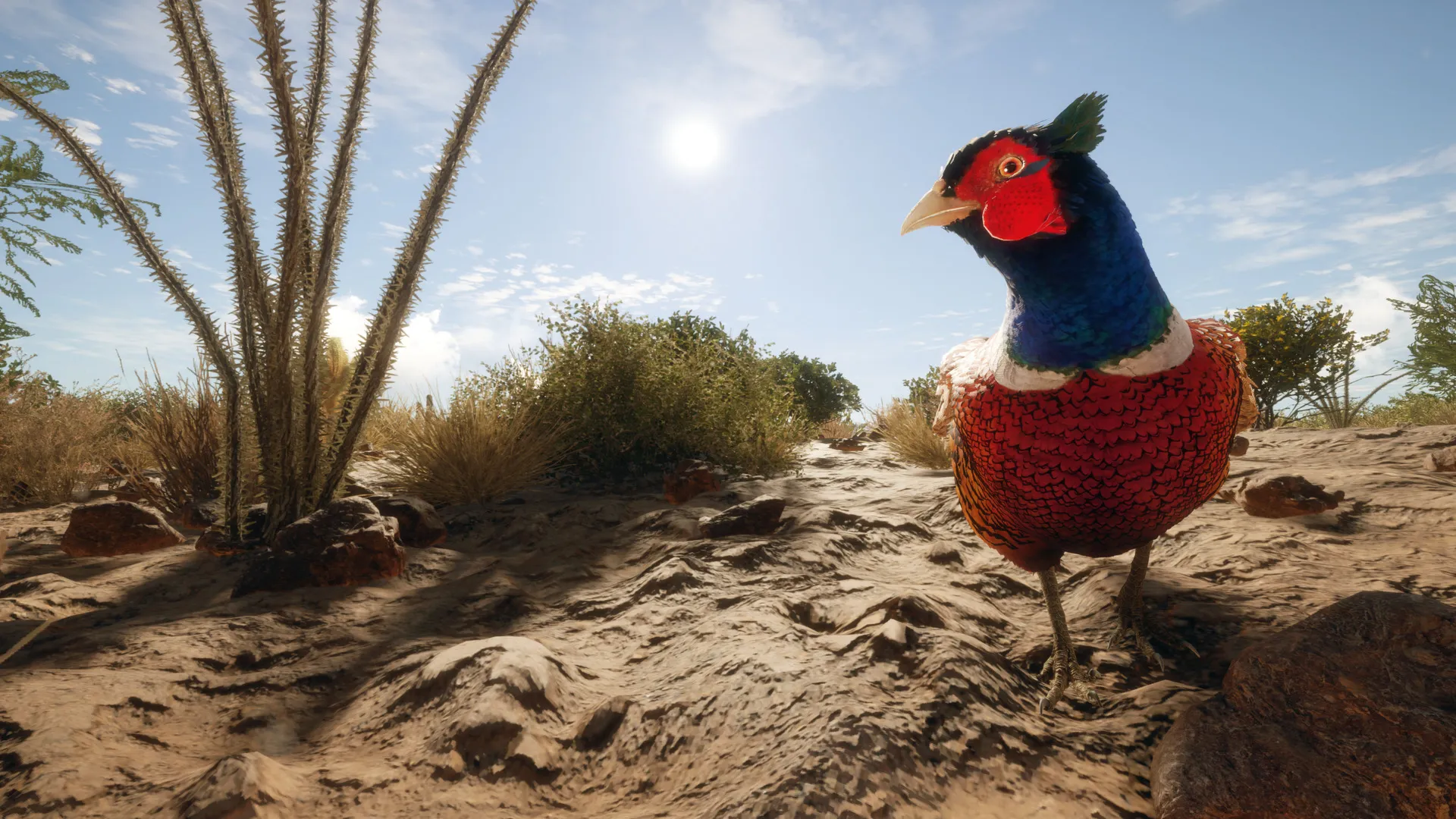 theHunter: Call of the Wild™ - Rancho del Arroyo DLC Steam key