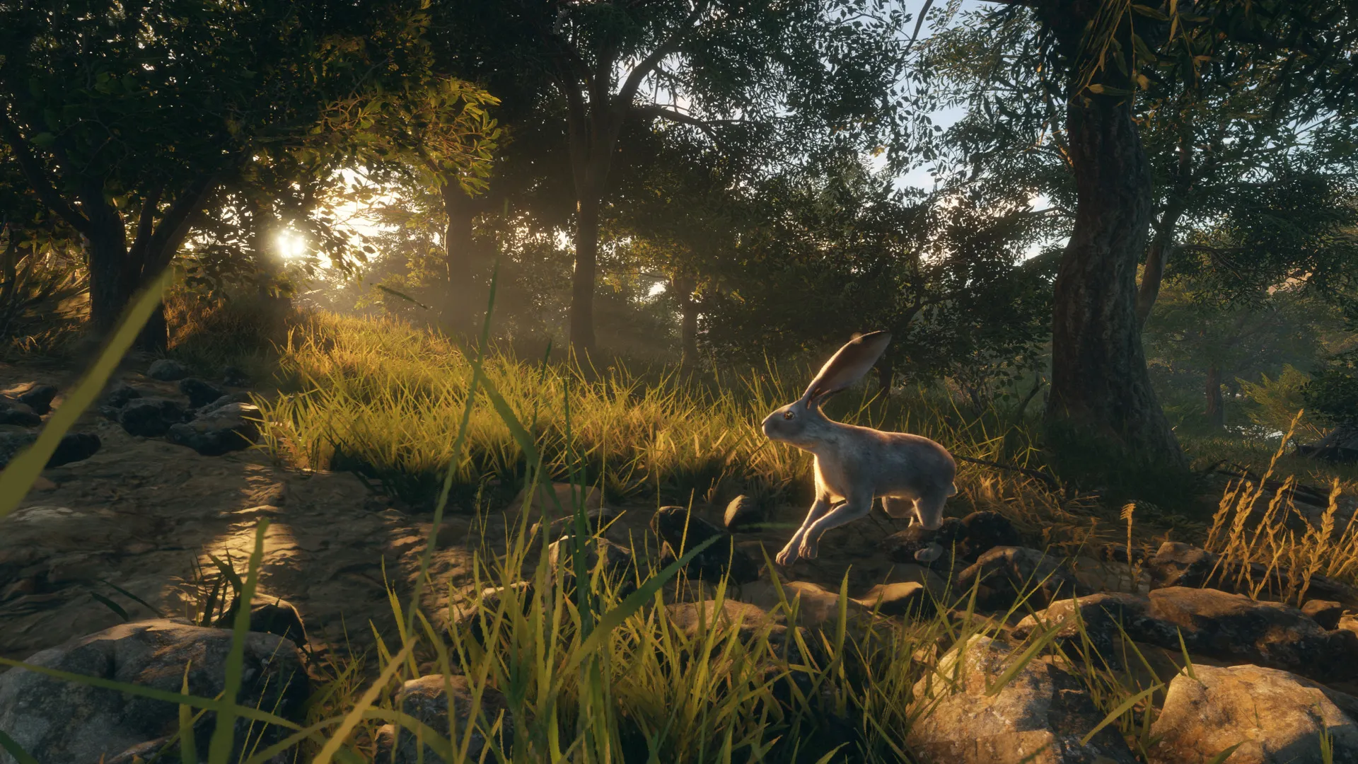 theHunter: Call of the Wild™ - Rancho del Arroyo DLC Steam key