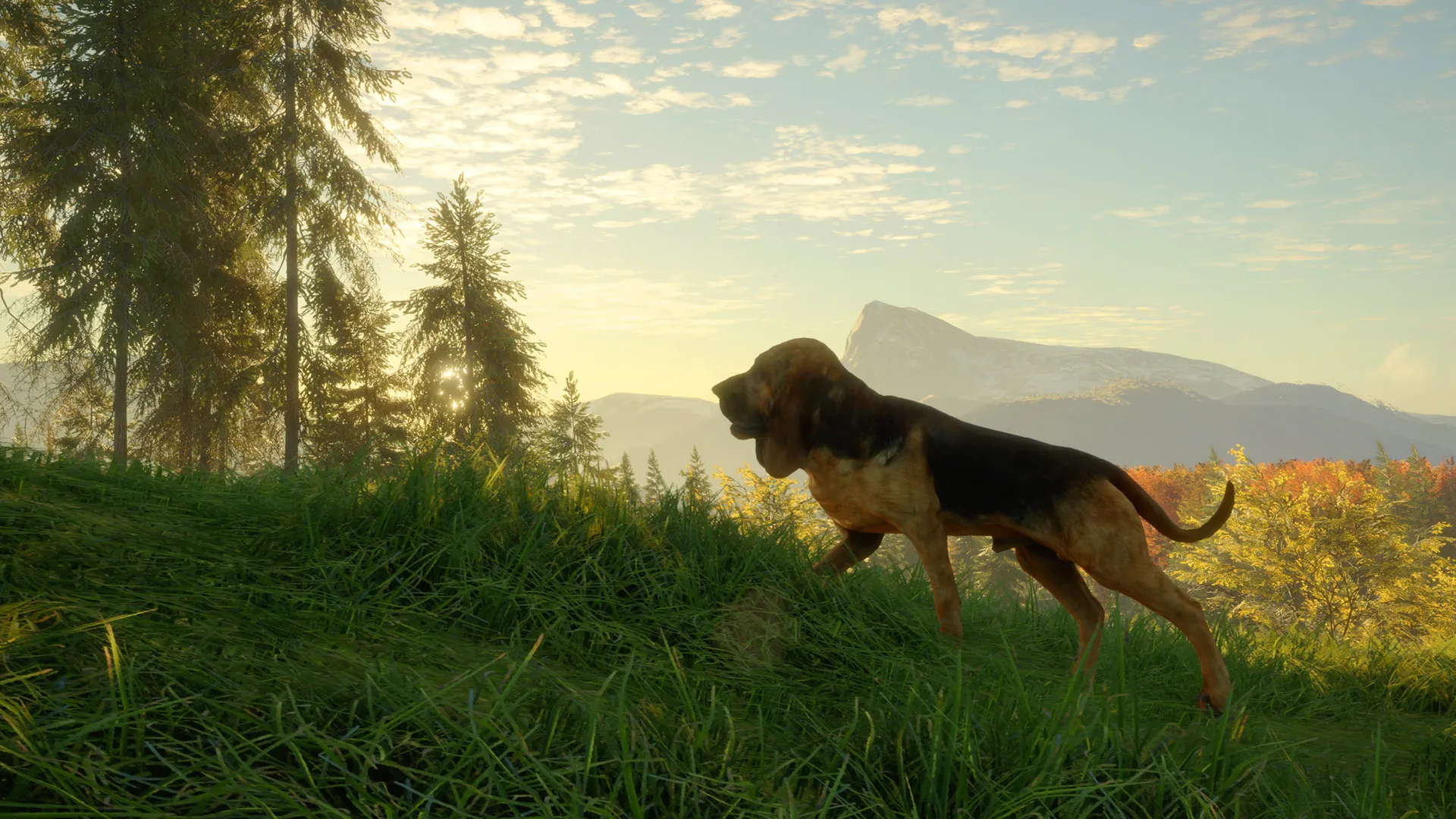 theHunter: Call of the Wild™ - Bloodhound DLC Steam key