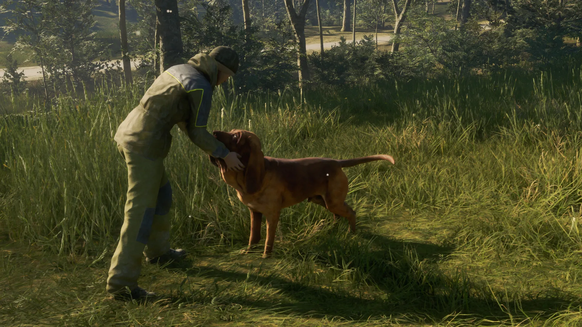 theHunter: Call of the Wild™ - Bloodhound DLC Steam key