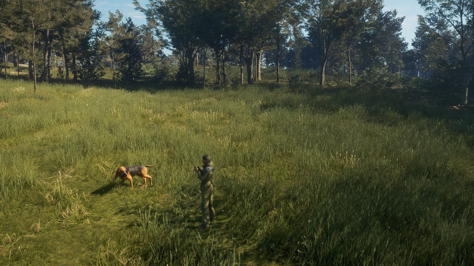 theHunter: Call of the Wild™ - Bloodhound DLC Steam key