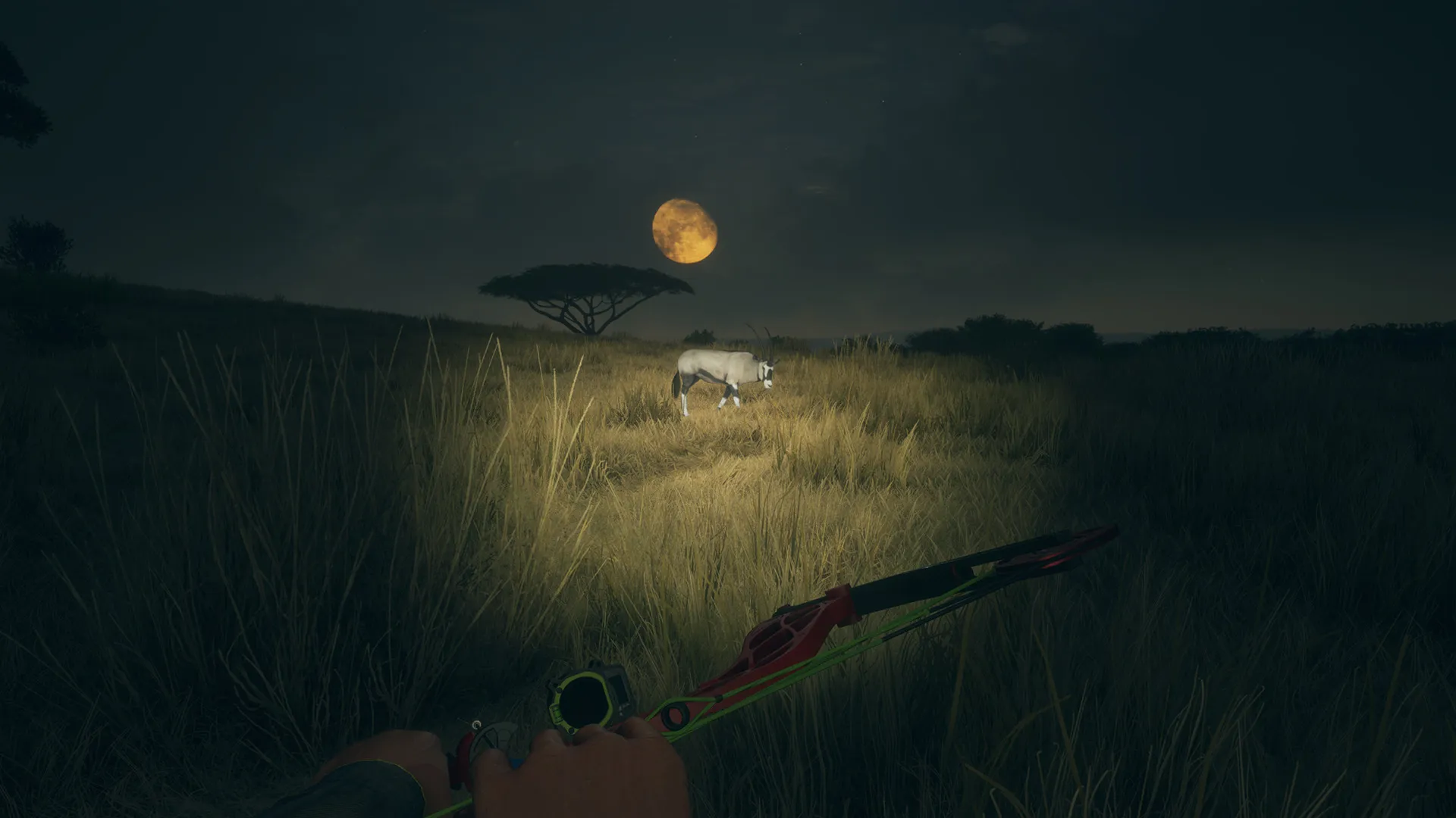 theHunter: Call of the Wild™ - High-Tech Hunting Pack DLC Steam key