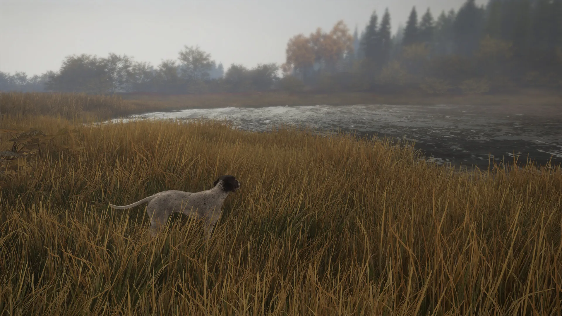 theHunter: Call of the Wild™ - German Shorthaired Pointer DLC Steam key