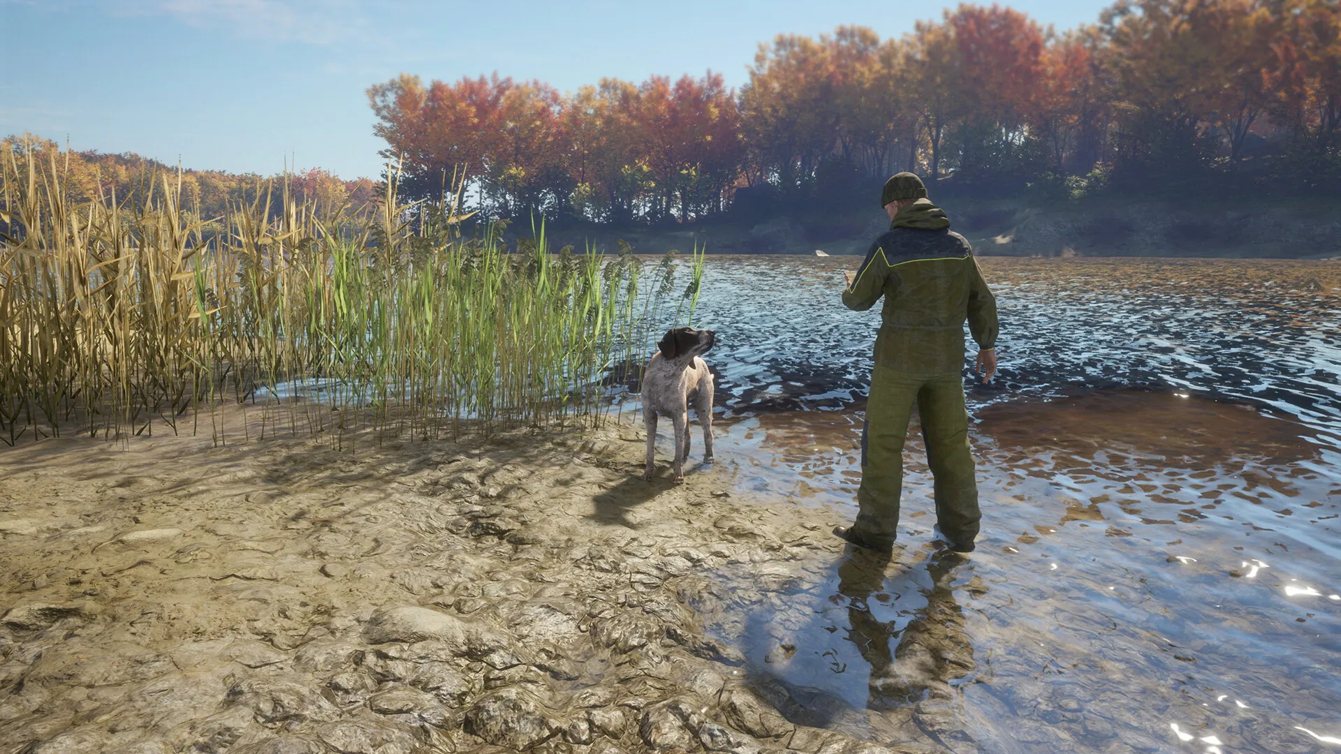 theHunter: Call of the Wild™ - German Shorthaired Pointer DLC Steam key