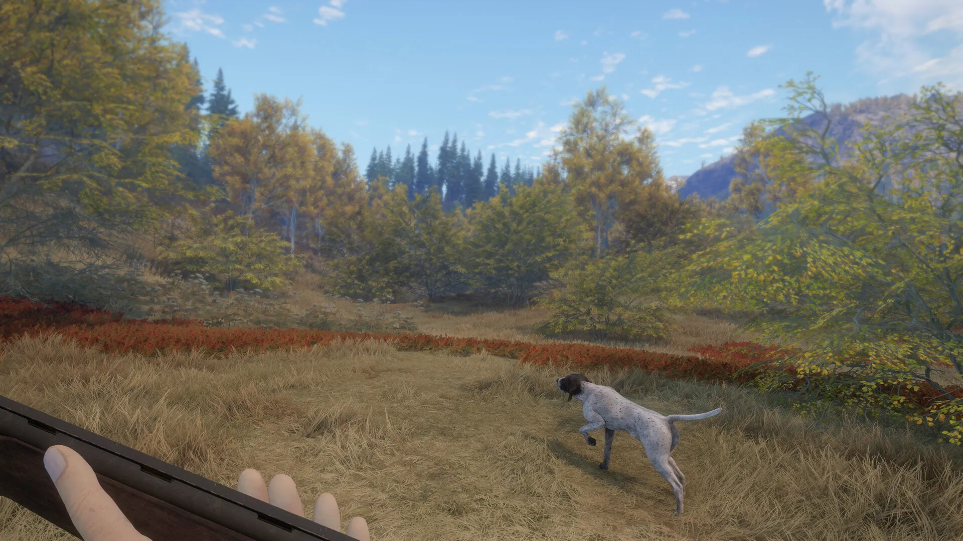 theHunter: Call of the Wild™ - German Shorthaired Pointer DLC Steam key