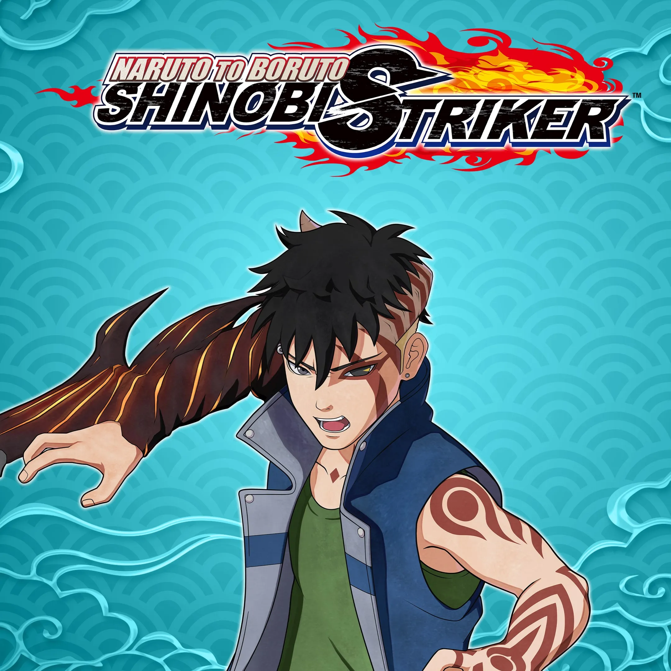 NTBSS: Master Character Training Pack - Kawaki (Karma Progression) | XBOX | На любой