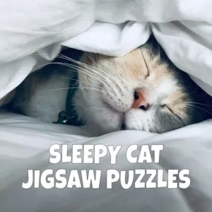 Jigsaw Puzzle Sleepy Cats | XBOX | На любой аккаунт