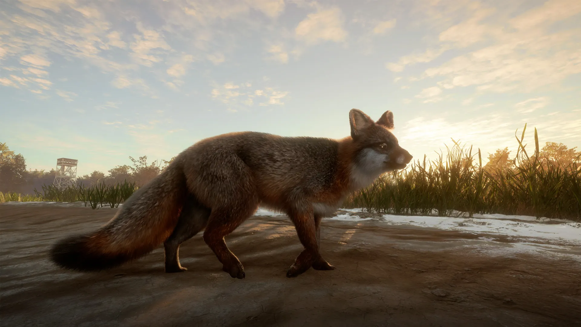 theHunter: Call of the Wild - Mississippi Acres Preserve DLC Steam key