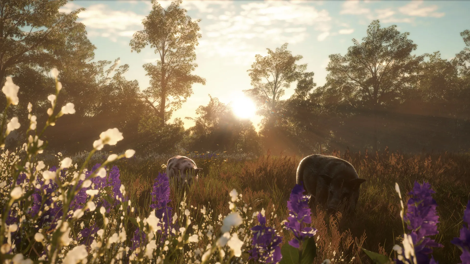 theHunter: Call of the Wild - Mississippi Acres Preserve DLC Steam key
