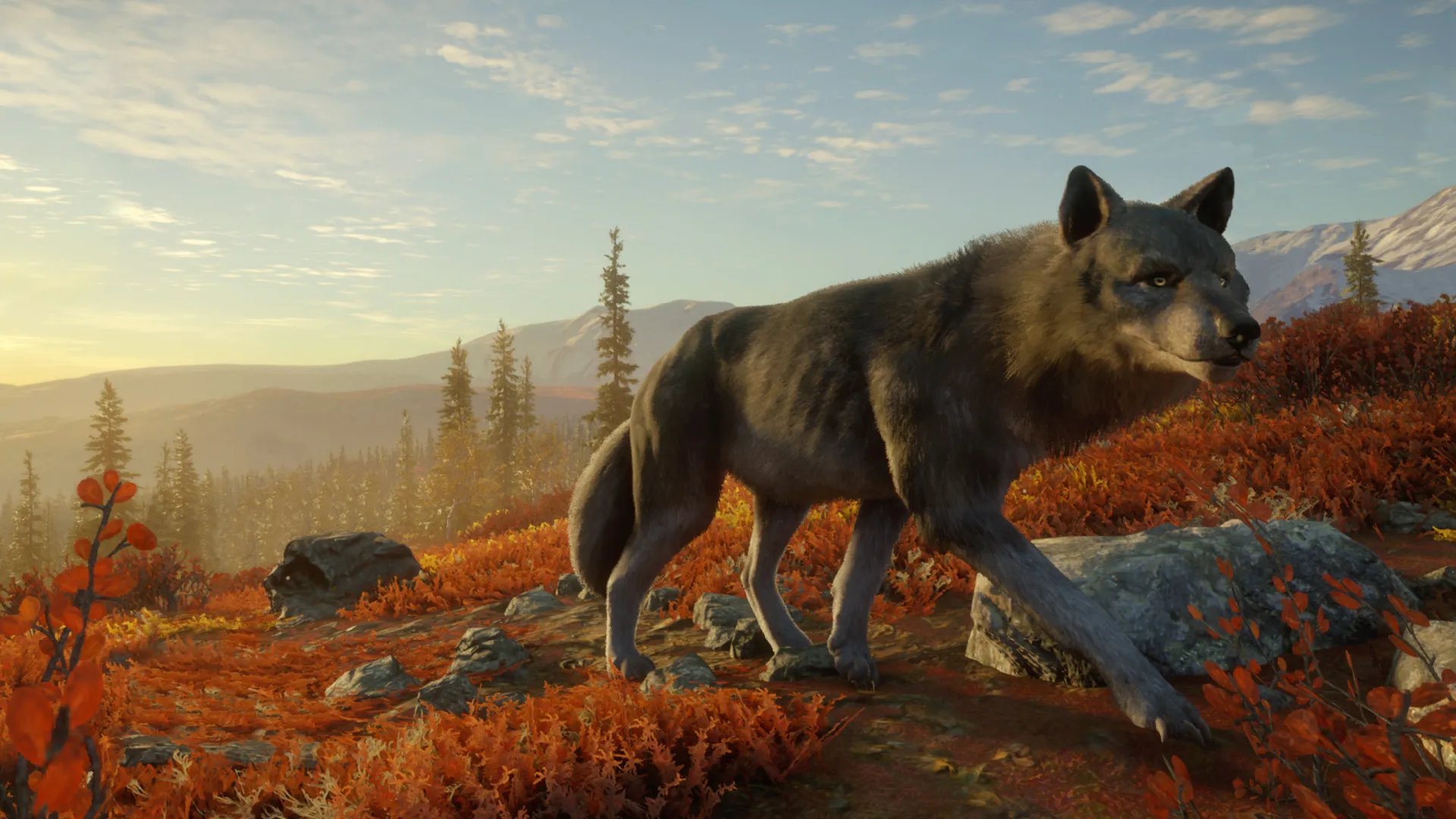theHunter: Call of the Wild™ - Yukon Valley DLC Steam key