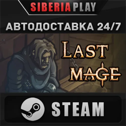 Last Mage STEAM АВТОДОСТАВКА RU/KZ/UA/СНГ