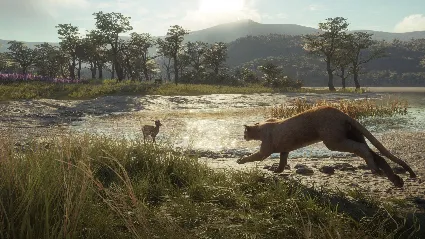 theHunter: Call of the Wild - Parque Fernando DLC Steam КЛЮЧ (valid until March, 2027