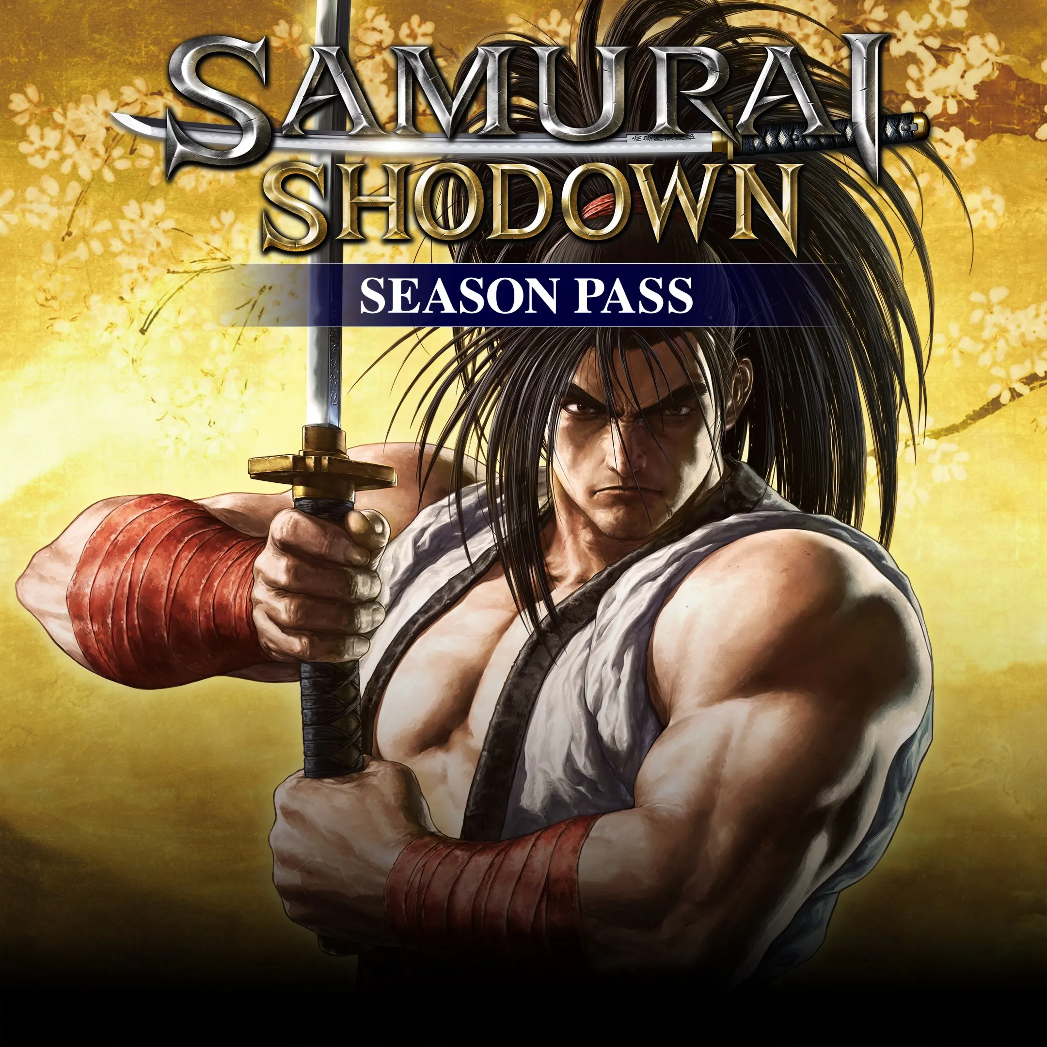 SAMURAI SHODOWN SEASON PASS | XBOX | На любой аккаунт