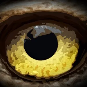 Hidden Animals - Photo Hunt | XBOX | На любой аккаунт