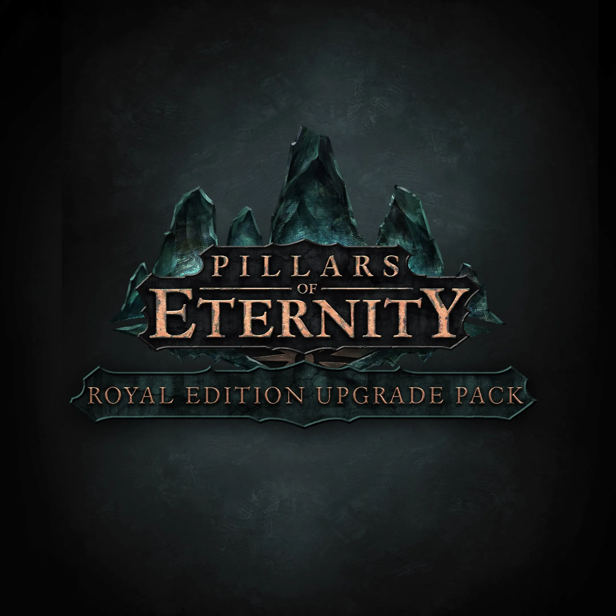 Pillars of Eternity: Royal Edition Upgrade Pack | PC | На любой аккаунт