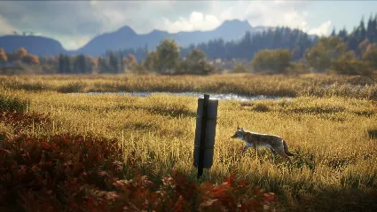 theHunter: Call of the Wild™ - Game Feeder Pack 2 DLC