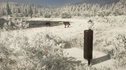 theHunter: Call of the Wild™ - Game Feeder Pack 2 DLC