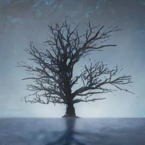 'n Verlore Verstand | PC | На любой аккаунт