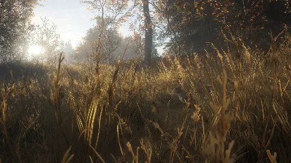 theHunter: Call of the Wild™ - STEAM GIFT RU/KZ/UA/BY