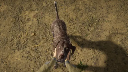 theHunter: Call of the Wild™ - German Shorthaired Pointer DLC