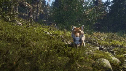 theHunter: Call of the Wild™ - Sundarpatan Hunting Reserve DLC