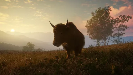 theHunter: Call of the Wild™ - Sundarpatan Hunting Reserve DLC