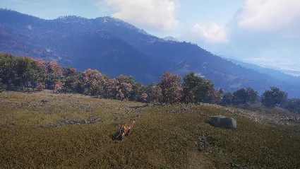 theHunter: Call of the Wild™ - Sundarpatan Hunting Reserve DLC