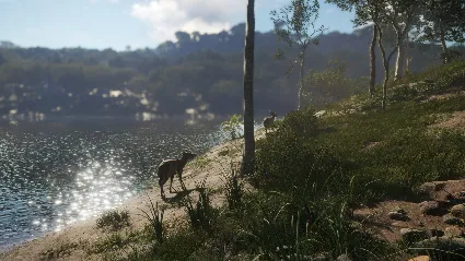 theHunter: Call of the Wild™ - Emerald Coast Australia DLC