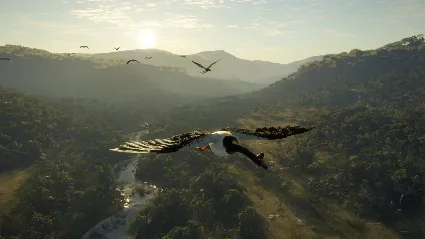 theHunter: Call of the Wild™ - Emerald Coast Australia DLC