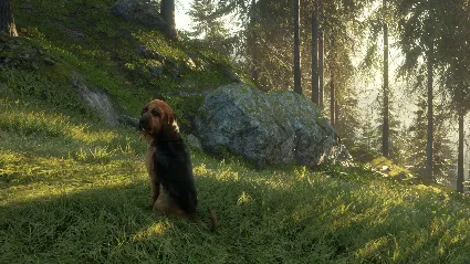 theHunter: Call of the Wild™ - Bloodhound DLC - STEAM