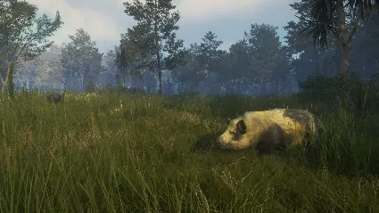 theHunter: Call of the Wild™ - Te Awaroa National Park DLC
