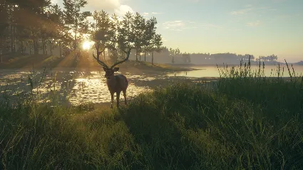 theHunter: Call of the Wild™ - Te Awaroa National Park DLC