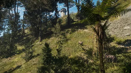 theHunter: Call of the Wild™ - Te Awaroa National Park DLC