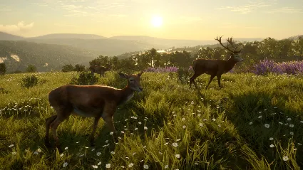 theHunter: Call of the Wild™ - Cuatro Colinas Game Reserve DLC