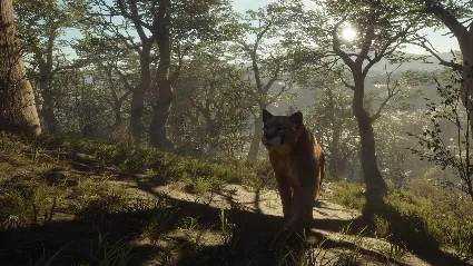 theHunter: Call of the Wild™ - Parque Fernando DLC